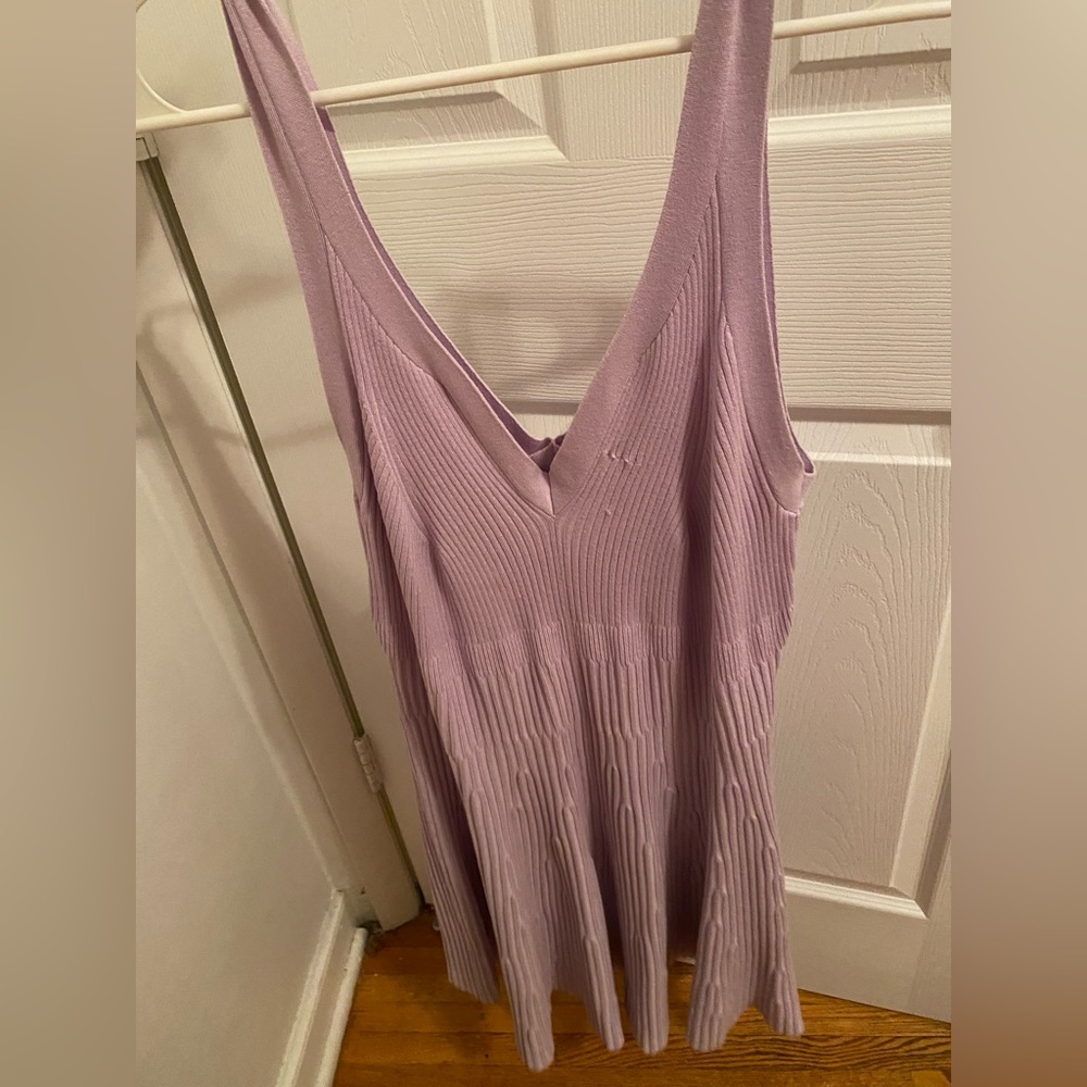 Express- Lavender Dress